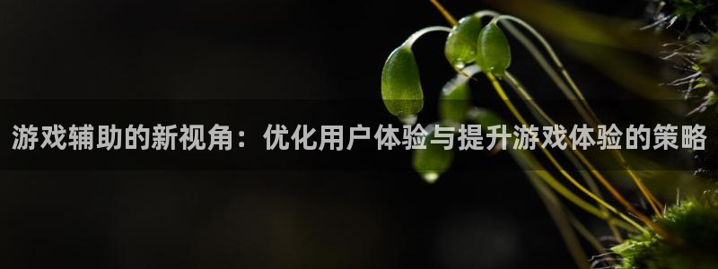 一竞技官网游戏平台