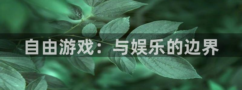 一竞技官网网址是多少