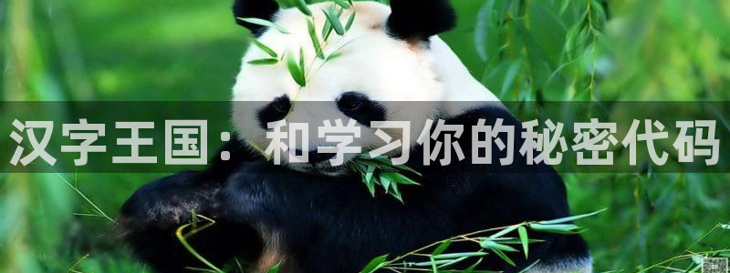 一竞技app下载官方版：汉字王国：和学习你的秘密代码