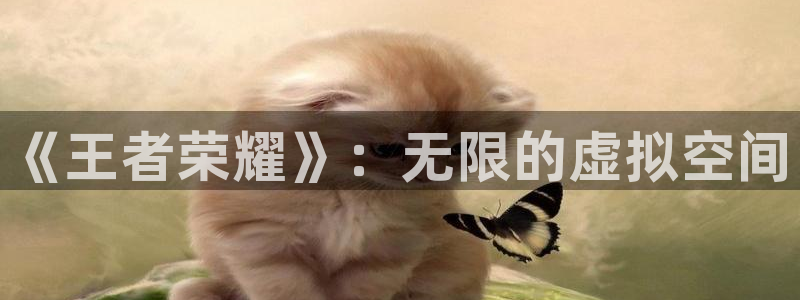 一竞技平台可以借钱吗：《王者荣耀》：无限的虚拟空间